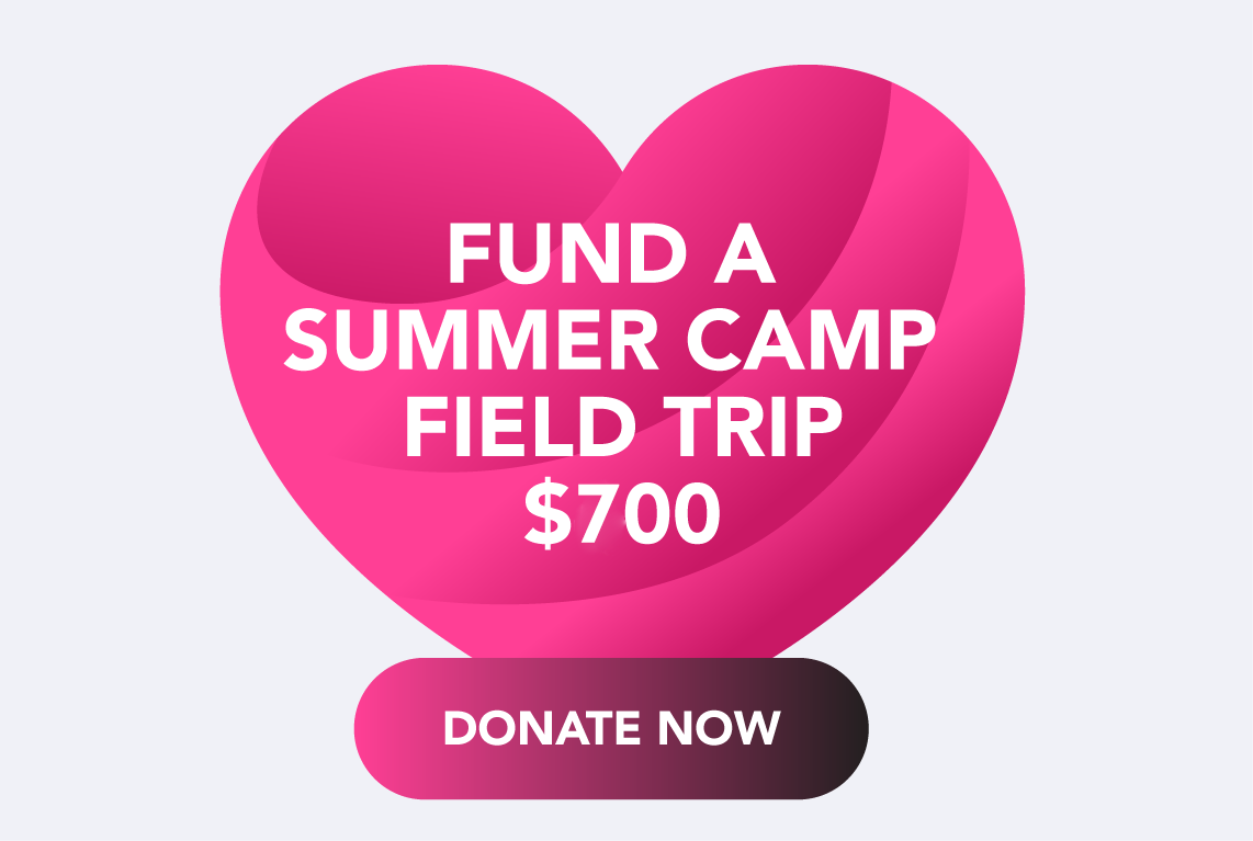 Fund A Summer Camp Field Trip $700 Donate Now